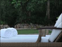 Falcon Tours and Travels